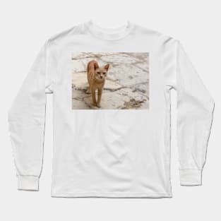 Stray ginger tabby cat Long Sleeve T-Shirt